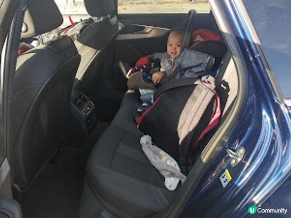 [德瑞法] 13個月嬰兒歐遊去: 法國邊境小鎮Colmar-哈爾移動城堡取景地