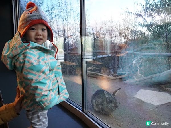 [德瑞法] 13個月嬰兒歐遊去: 180年老店Sprüngli 和嬰兒節目遊Zurich Zoo