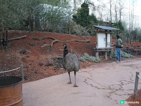 [德瑞法] 13個月嬰兒歐遊去: 180年老店Sprüngli 和嬰兒節目遊Zurich Zoo