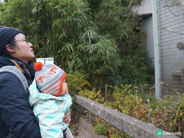 [德瑞法] 13個月嬰兒歐遊去: 180年老店Sprüngli 和嬰兒節目遊Zurich Zoo