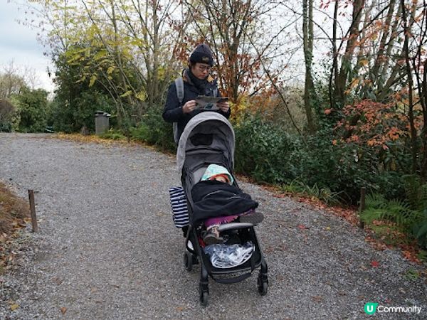 [德瑞法] 13個月嬰兒歐遊去: 180年老店Sprüngli 和嬰兒節目遊Zurich Zoo