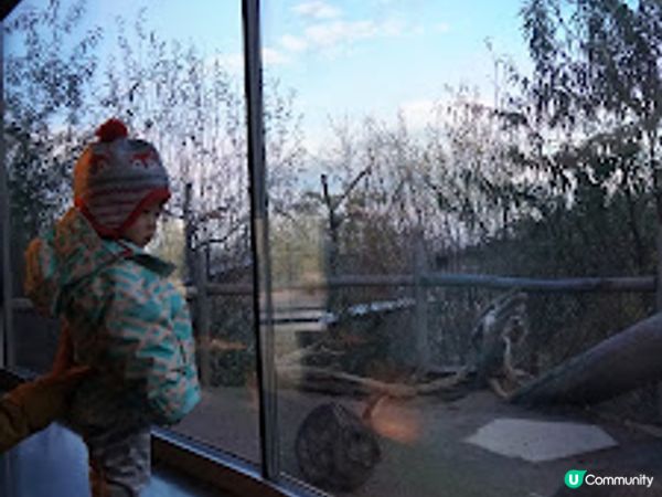 [德瑞法] 13個月嬰兒歐遊去: 180年老店Sprüngli 和嬰兒節目遊Zurich Zoo