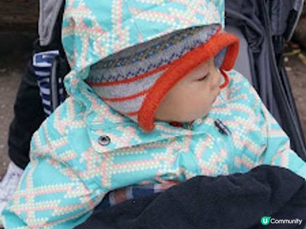 [德瑞法] 13個月嬰兒歐遊去: 180年老店Sprüngli 和嬰兒節目遊Zurich Zoo