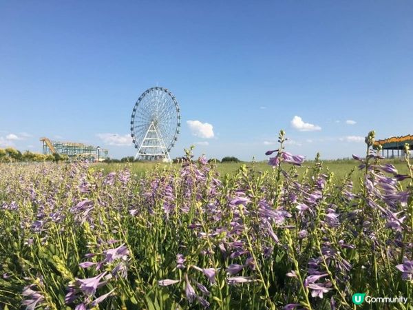 有一種穿越，名叫西伯利亞鐵路