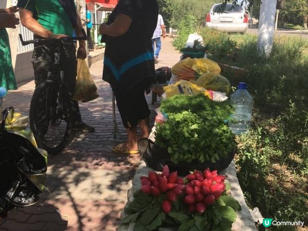 有一種穿越，名叫西伯利亞鐵路