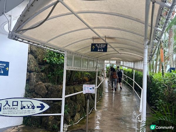 沖繩親子遊 | 古宇利海洋塔 x 貝殼博物館 x 心型岩 [ 沖繩北部 ]