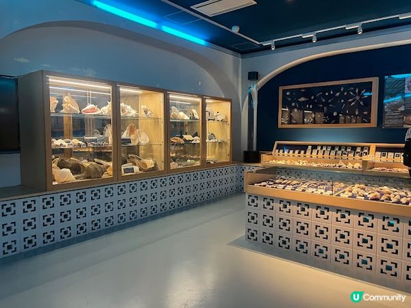 沖繩親子遊 | 古宇利海洋塔 x 貝殼博物館 x 心型岩 [ 沖繩北部 ]