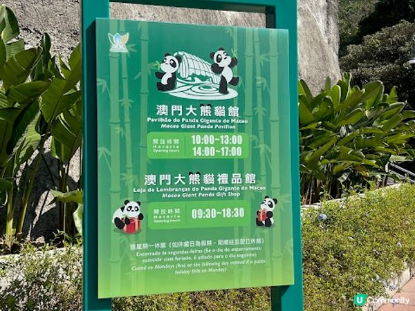 澳門親子遊 | 澳門大熊貓館 x 免費玩樂好去處