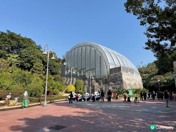 澳門親子遊 | 澳門大熊貓館 x 免費玩樂好去處