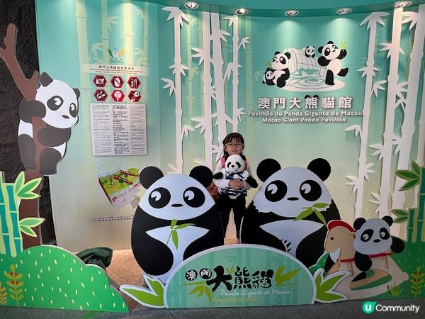 澳門親子遊 | 澳門大熊貓館 x 免費玩樂好去處