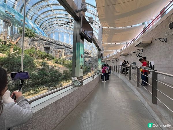 澳門親子遊 | 澳門大熊貓館 x 免費玩樂好去處