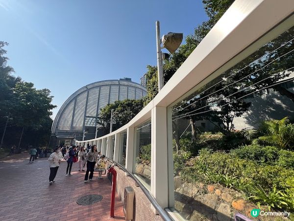 澳門親子遊 | 澳門大熊貓館 x 免費玩樂好去處