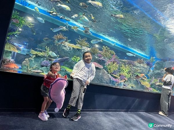 沖繩親子遊 | 沖繩DMMかりゆし水族館 x 水族館 x 餵樹懶餵企鵝