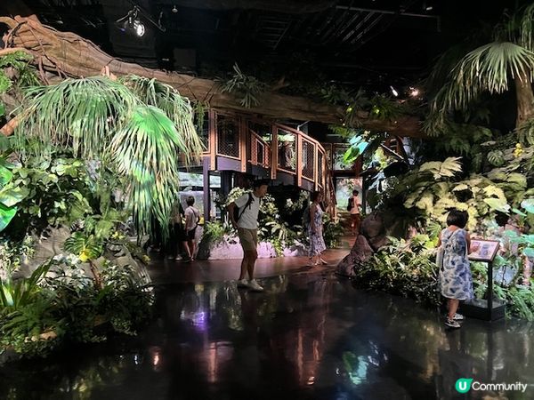 沖繩親子遊 | 沖繩DMMかりゆし水族館 x 水族館 x 餵樹懶餵企鵝