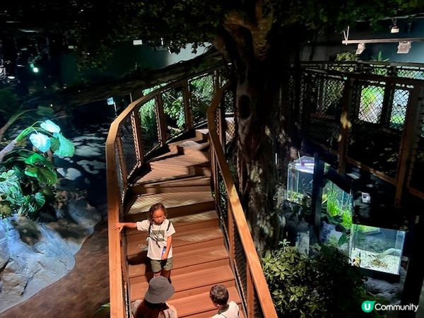 沖繩親子遊 | 沖繩DMMかりゆし水族館 x 水族館 x 餵樹懶餵企鵝