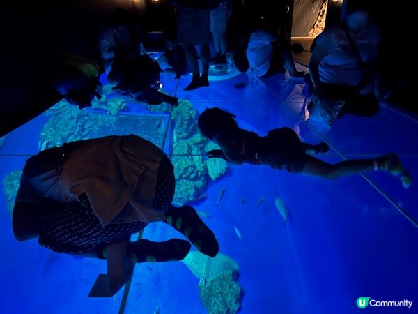 沖繩親子遊 | 沖繩DMMかりゆし水族館 x 水族館 x 餵樹懶餵企鵝