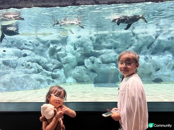 沖繩親子遊 | 沖繩DMMかりゆし水族館 x 水族館 x 餵樹懶餵企鵝