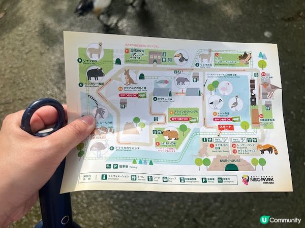 沖繩親子遊 | 名護自然動植物公園NEO PARK x 小火車 x 水豚 x 動物近距離接觸