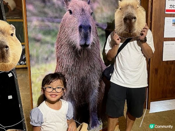 沖繩親子遊 | 名護自然動植物公園NEO PARK x 小火車 x 水豚 x 動物近距離接觸