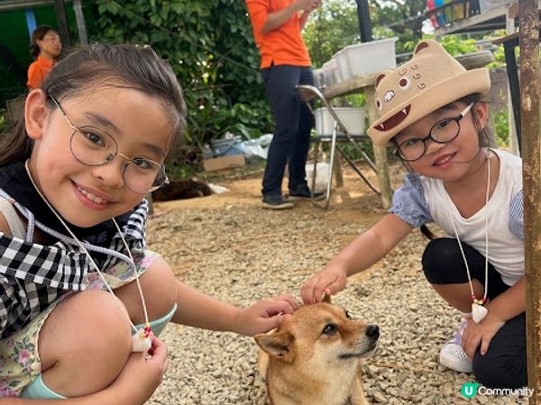 沖繩親子遊 | 名護自然動植物公園NEO PARK x 小火車 x 水豚 x 動物近距離接觸