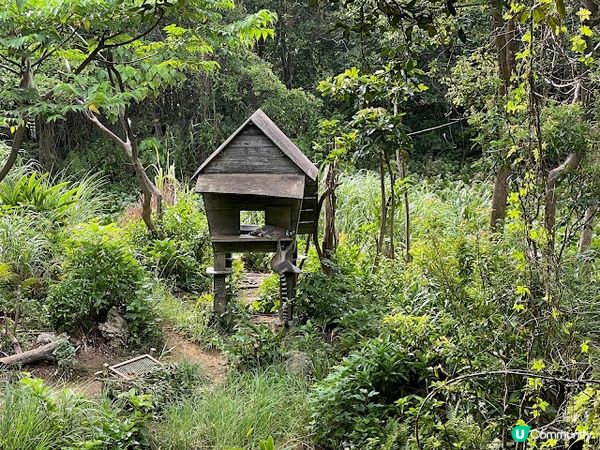 沖繩親子遊 | 名護自然動植物公園NEO PARK x 小火車 x 水豚 x 動物近距離接觸