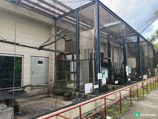 沖繩親子遊 | 名護自然動植物公園NEO PARK x 小火車 x 水豚 x 動物近距離接觸