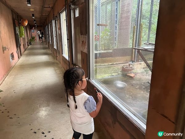 沖繩親子遊 | 名護自然動植物公園NEO PARK x 小火車 x 水豚 x 動物近距離接觸