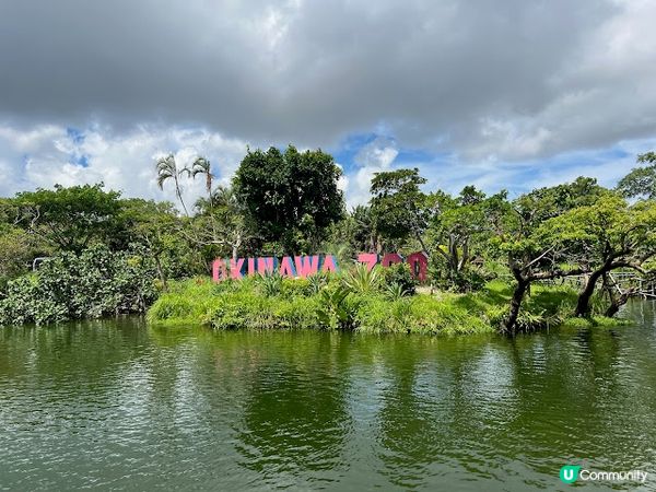 沖繩親子必到景點 x 沖繩兒童王國 x 動物 x 神奇博物館