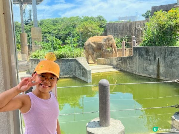 沖繩親子必到景點 x 沖繩兒童王國 x 動物 x 神奇博物館