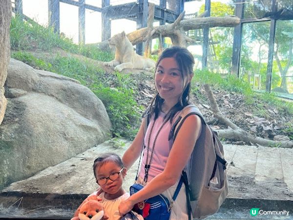 沖繩親子必到景點 x 沖繩兒童王國 x 動物 x 神奇博物館