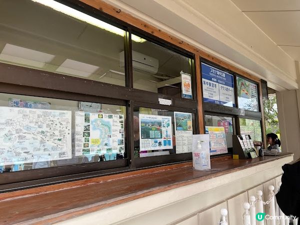 沖繩親子遊 | 360度觀賞海底世界 x 部瀨名海中公園