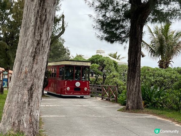 沖繩親子遊 | 360度觀賞海底世界 x 部瀨名海中公園