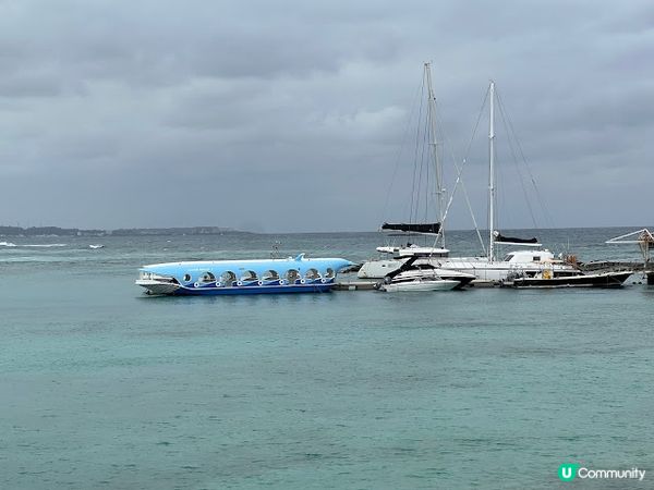 沖繩親子遊 | 360度觀賞海底世界 x 部瀨名海中公園