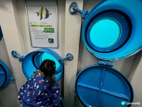 沖繩親子遊 | 360度觀賞海底世界 x 部瀨名海中公園