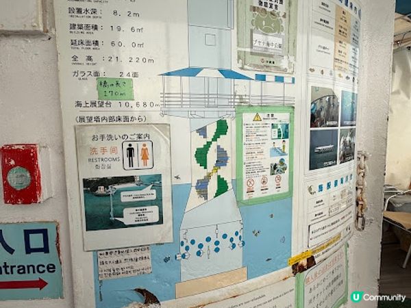 沖繩親子遊 | 360度觀賞海底世界 x 部瀨名海中公園