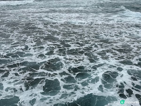 沖繩親子遊 | 360度觀賞海底世界 x 部瀨名海中公園