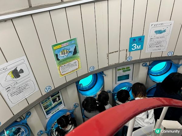 沖繩親子遊 | 360度觀賞海底世界 x 部瀨名海中公園