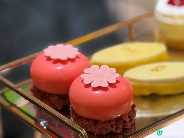 迎初夏!! Botanic Pretti5 下午茶