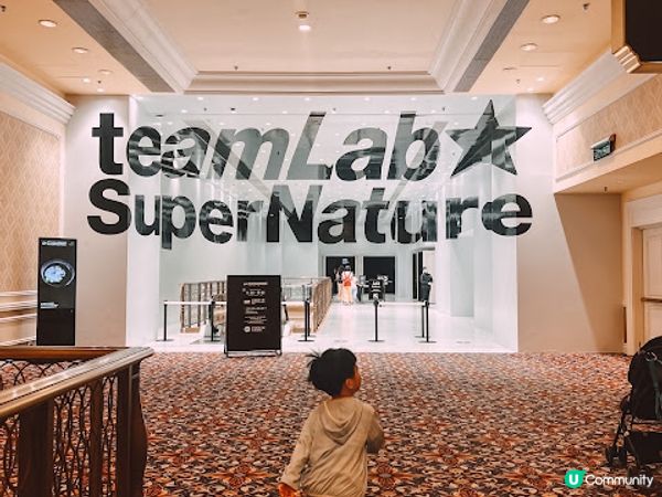 【澳門親子遊2026】快閃2日1夜行程規劃：天浪淘園、teamLab、官也街必吃美食與住宿推薦