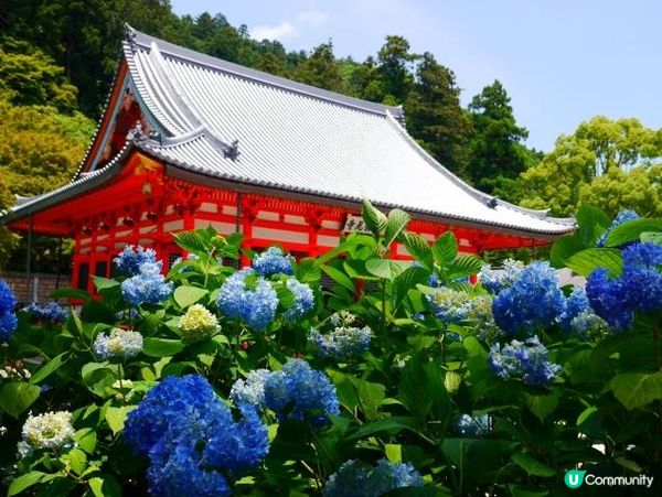 大阪箕面的勝尾寺