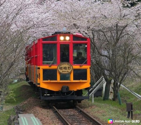 嵐山的竹屋小火車（トロッコ列車）