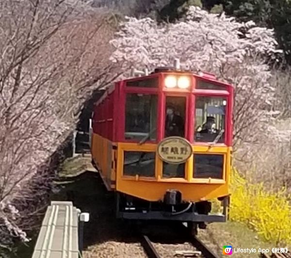 嵐山的竹屋小火車（トロッコ列車）