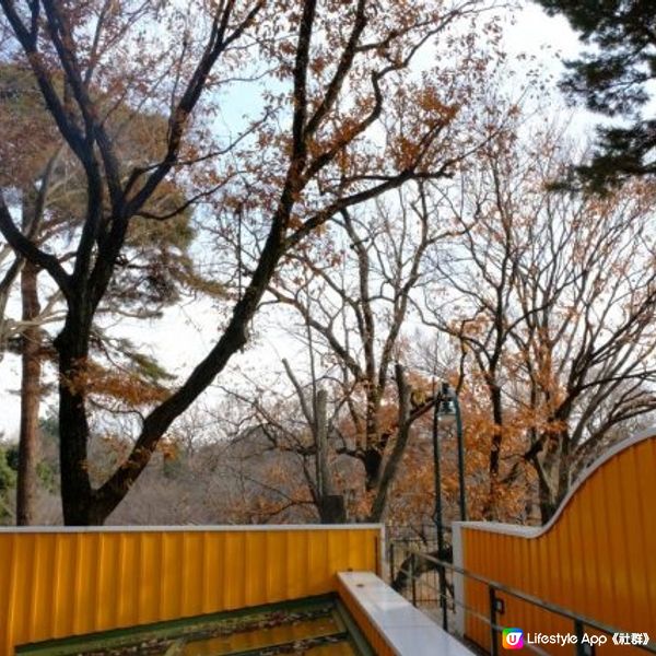 【東京】走入宮崎駿的動畫世界＠三鷹之森美術館