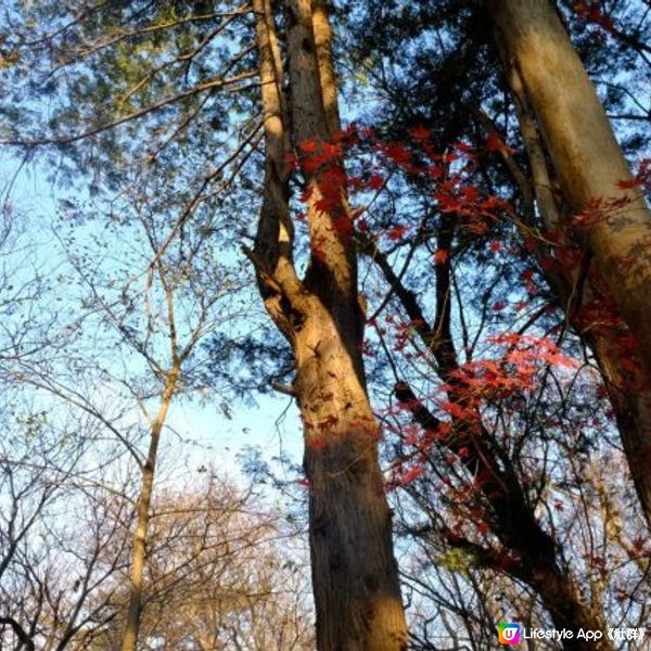 【東京】走入宮崎駿的動畫世界＠三鷹之森美術館