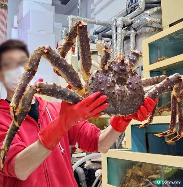 高質海鮮直送到港‧服務周到食餐好