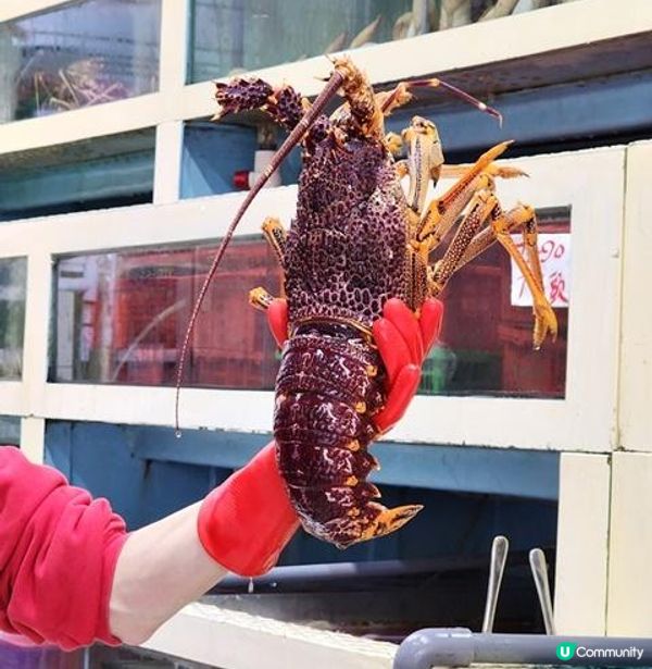 高質海鮮直送到港‧服務周到食餐好