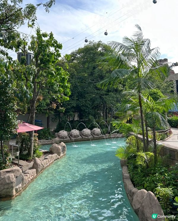 #打造韓系浪漫廚房 #淨白透亮520 #韓式髮型神器