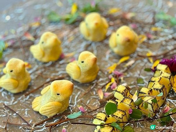 【中菜天花板】走到ICC 101層「閩粵軒」 品嘗美味到跳樓的玻璃乳鴿