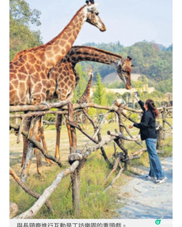 蛇年大灣區航空直飛宜昌遊三峽 歎盡絕美景色