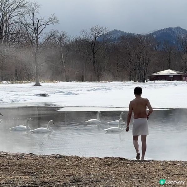 與天鵝🦢一齊浸溫泉
